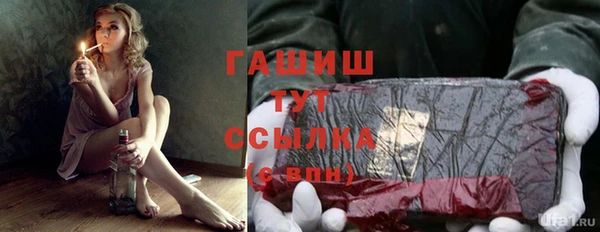 spice Гусев