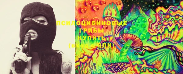 spice Гусев