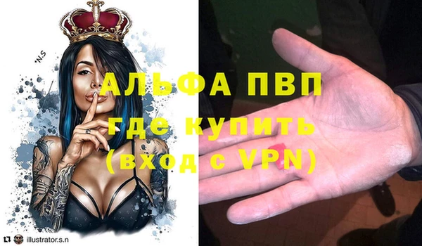 spice Гусев