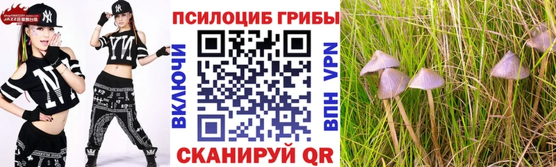 Псилоцибиновые грибы ЛСД  Евпатория 