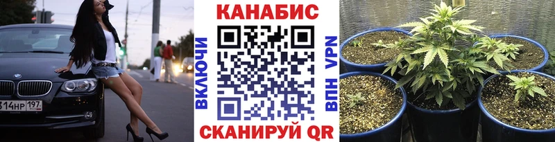 Конопля Bruce Banner  даркнет официальный сайт  Евпатория  как найти наркотики 